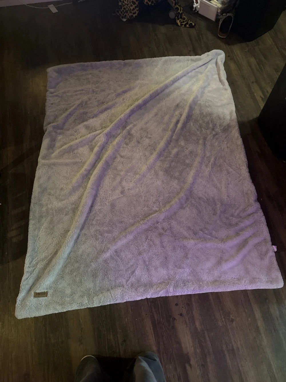 blanket